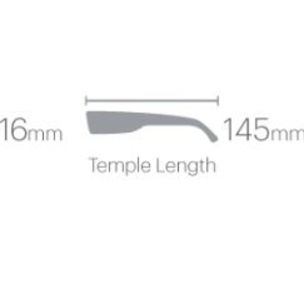 Smith Era Sunglasses Tortoise Frame w/ChromaPop Polarized Rose Gold New in Box - Picture 12 of 12